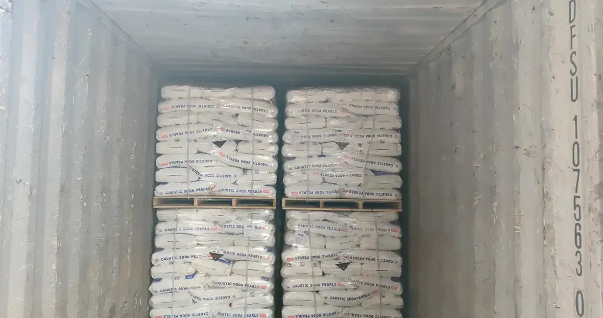 success story norway camachem 12