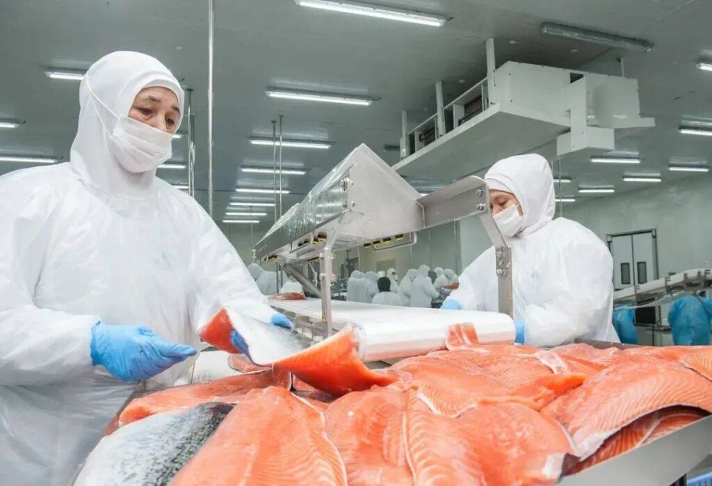 Workers processing agro-products in a manufacturing plant in Norway. Camachem supplies caustic soda to keep the plant running 